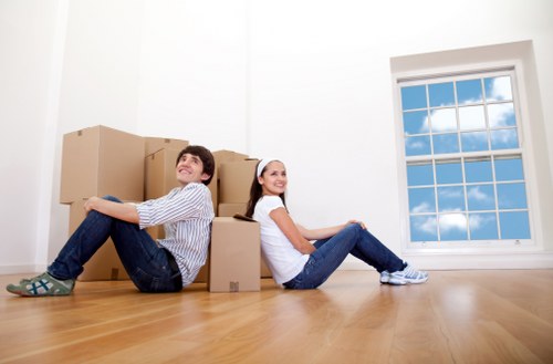 Commercial and residential storage options near Pimlico